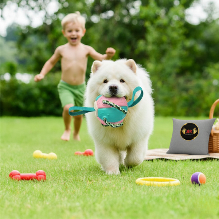 🧸🐾 Juguetes para Mascotas 🎾🐕