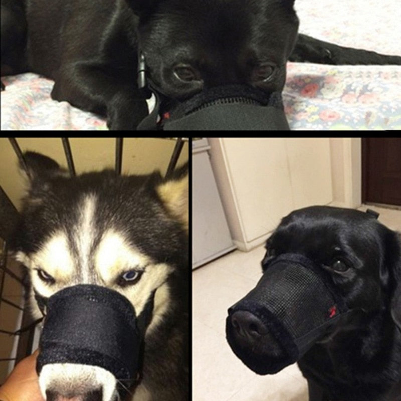 Museruola ajustable y transpirable para perros – Diseño seguro, cómodo y resistente