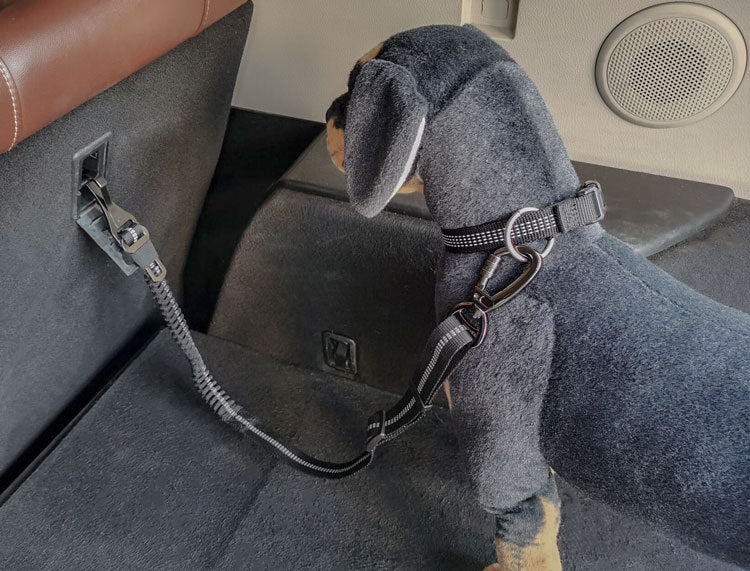 Cinturón de seguridad reflectante para perros – Elástico, ajustable y compatible con la mayoría de vehículos