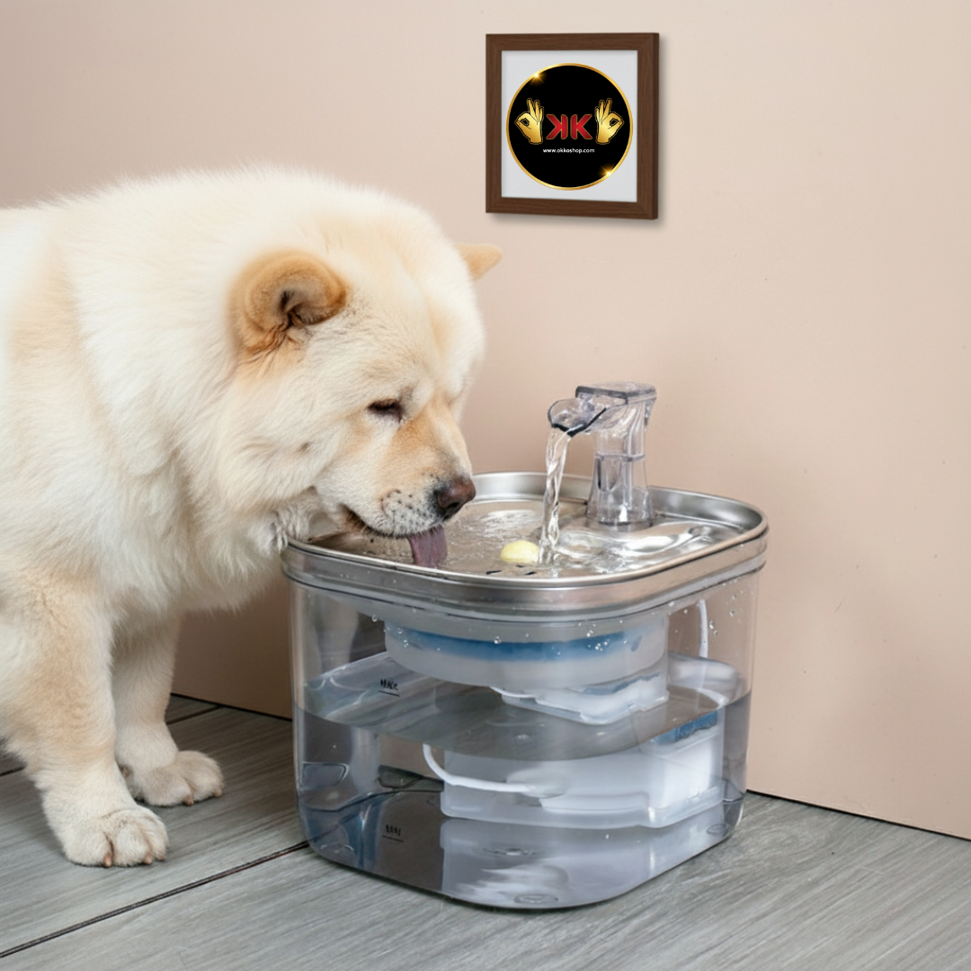 Accesorios para mascotas
