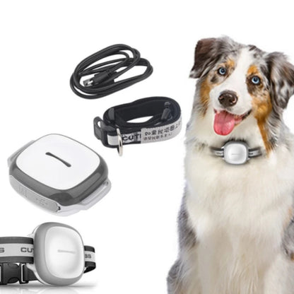 Collar localizador GPS impermeable para perros y gatos – Con alarma inteligente y batería duradera