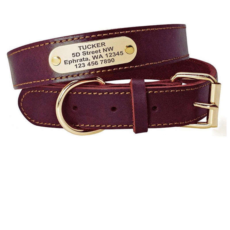 Collar de Cuero  con Placa de Identificación para mascota Dorada Personalizable