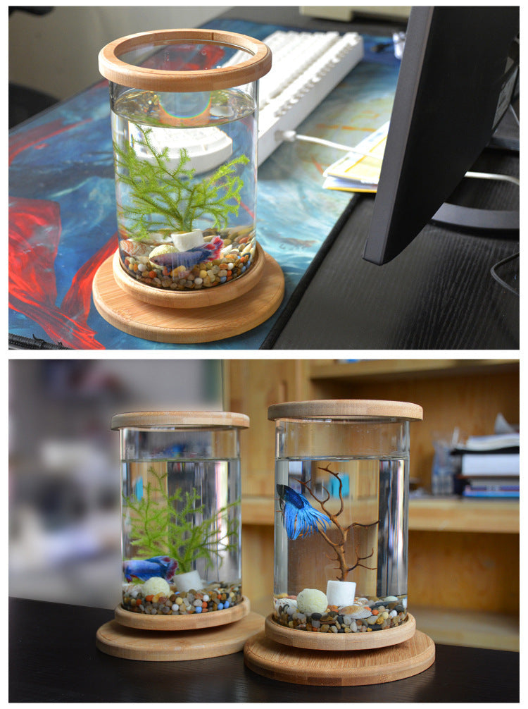 Mini pecera de cristal con base de bambú – Decoración elegante para oficina y hogar