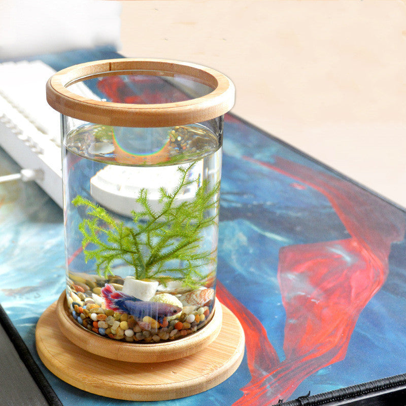 Mini pecera de cristal con base de bambú – Decoración elegante para oficina y hogar