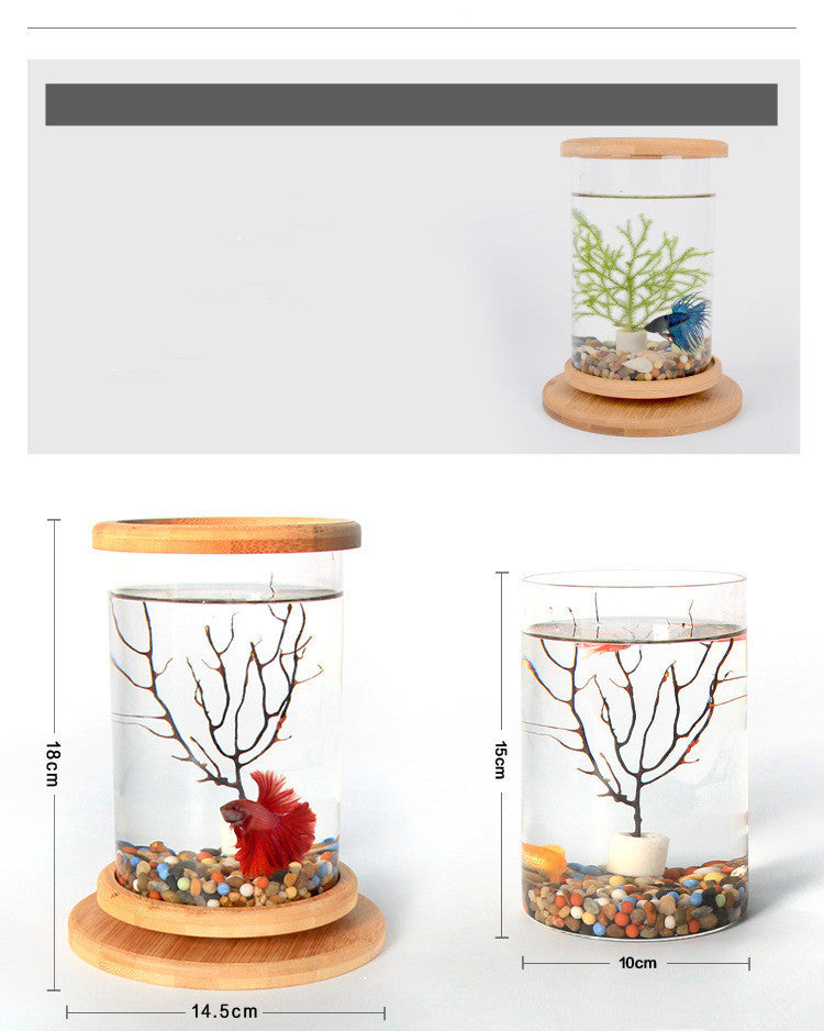 Mini pecera de cristal con base de bambú – Decoración elegante para oficina y hogar