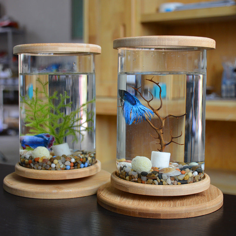 Mini pecera de cristal con base de bambú – Decoración elegante para oficina y hogar