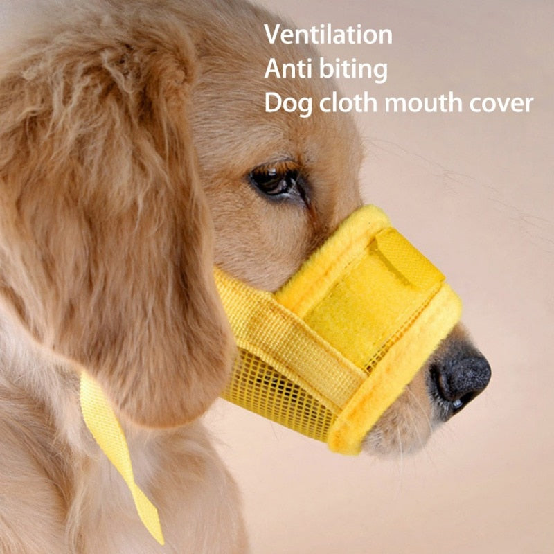 Museruola ajustable y transpirable para perros – Diseño seguro, cómodo y resistente