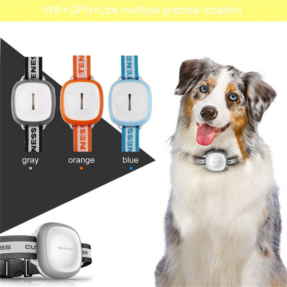 Collar localizador GPS impermeable para perros y gatos – Con alarma inteligente y batería duradera