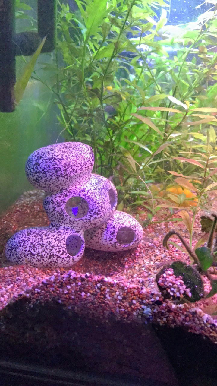 Piedra decorativa para acuarios – refugio natural para peces y gambas