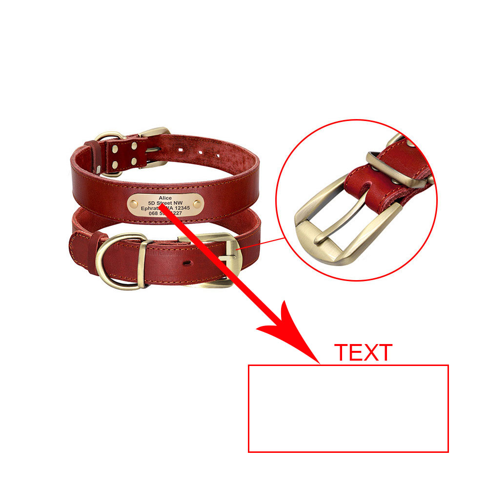 Collar de Cuero  con Placa de Identificación para mascota Dorada Personalizable