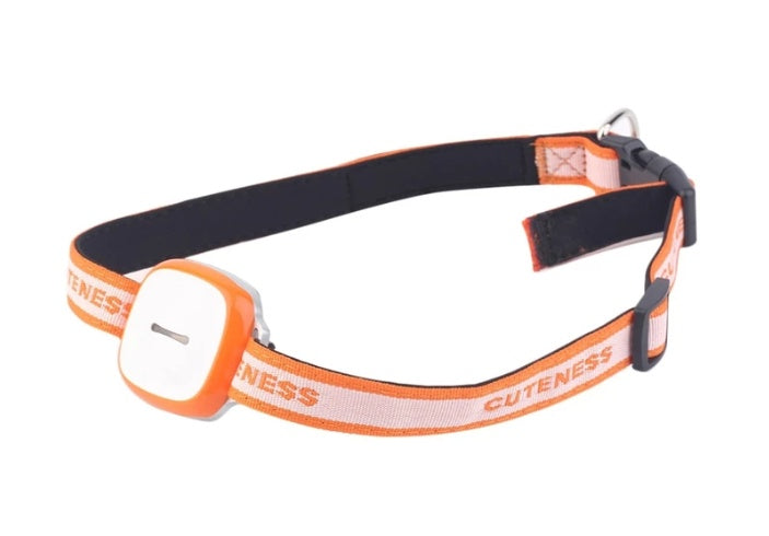 Collar localizador GPS impermeable para perros y gatos – Con alarma inteligente y batería duradera