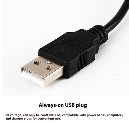 Guirnalda LED con Arañas Púrpuras – Luces Decorativas de Halloween USB o Pilas