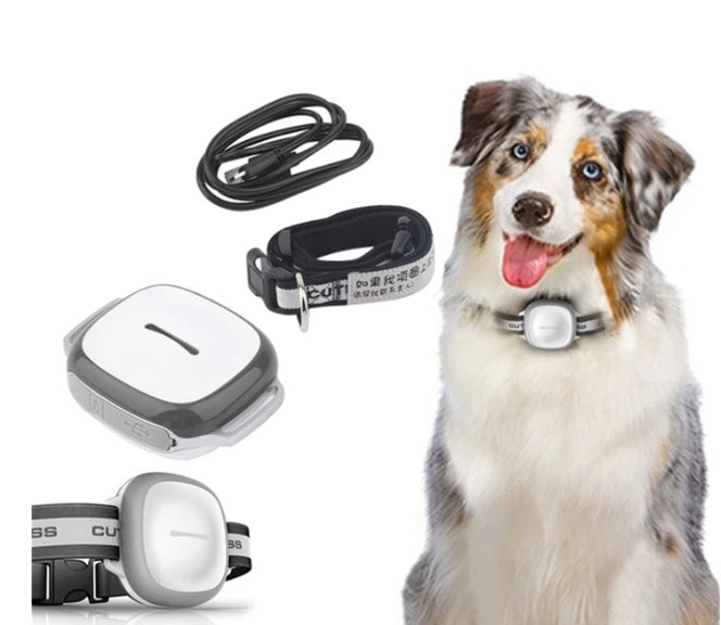 Collar localizador GPS impermeable para perros y gatos – Con alarma inteligente y batería duradera