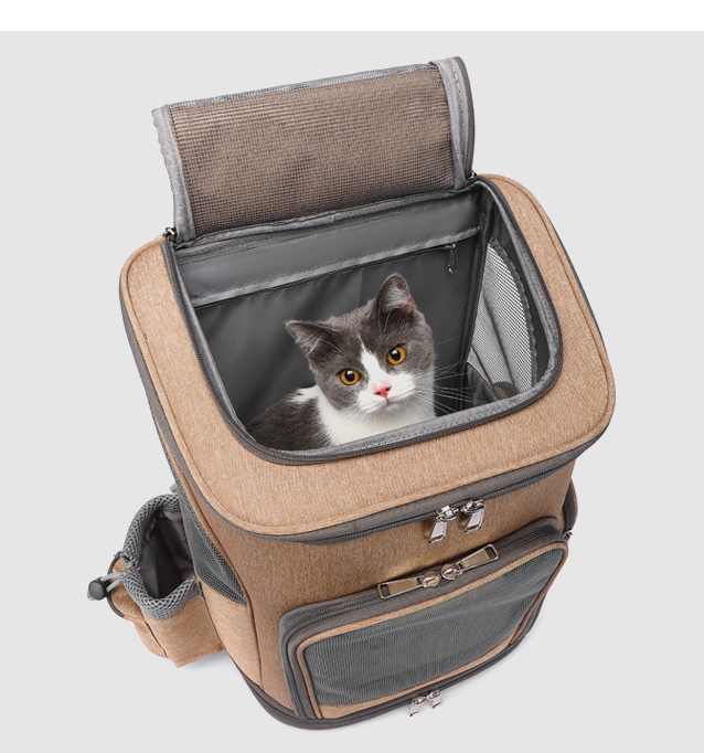 Mochila transportadora con ruedas para mascotas – Diseño cápsula transparente y ventilado