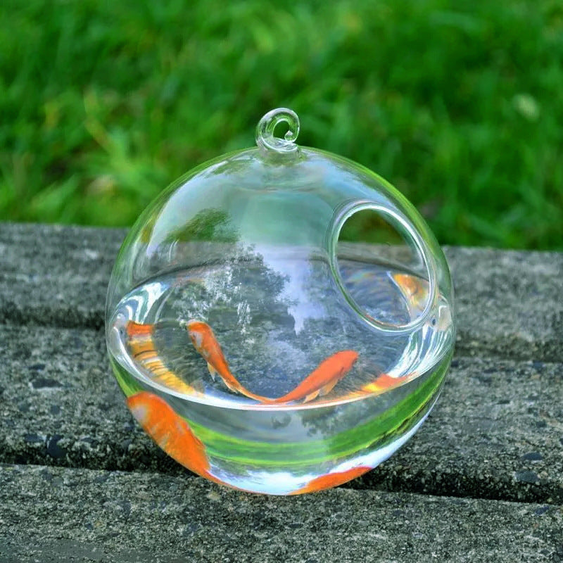 Pecera de cristal colgante – Bola de vidrio decorativa elegante