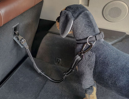 Cinturón de seguridad reflectante para perros – Elástico, ajustable y compatible con la mayoría de vehículos