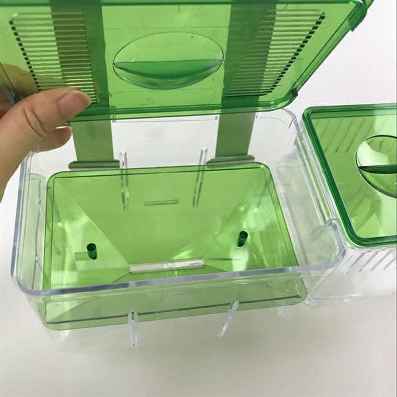 Caja de cría y aislamiento para peces guppy y betta – Incubadora flotante transparente
