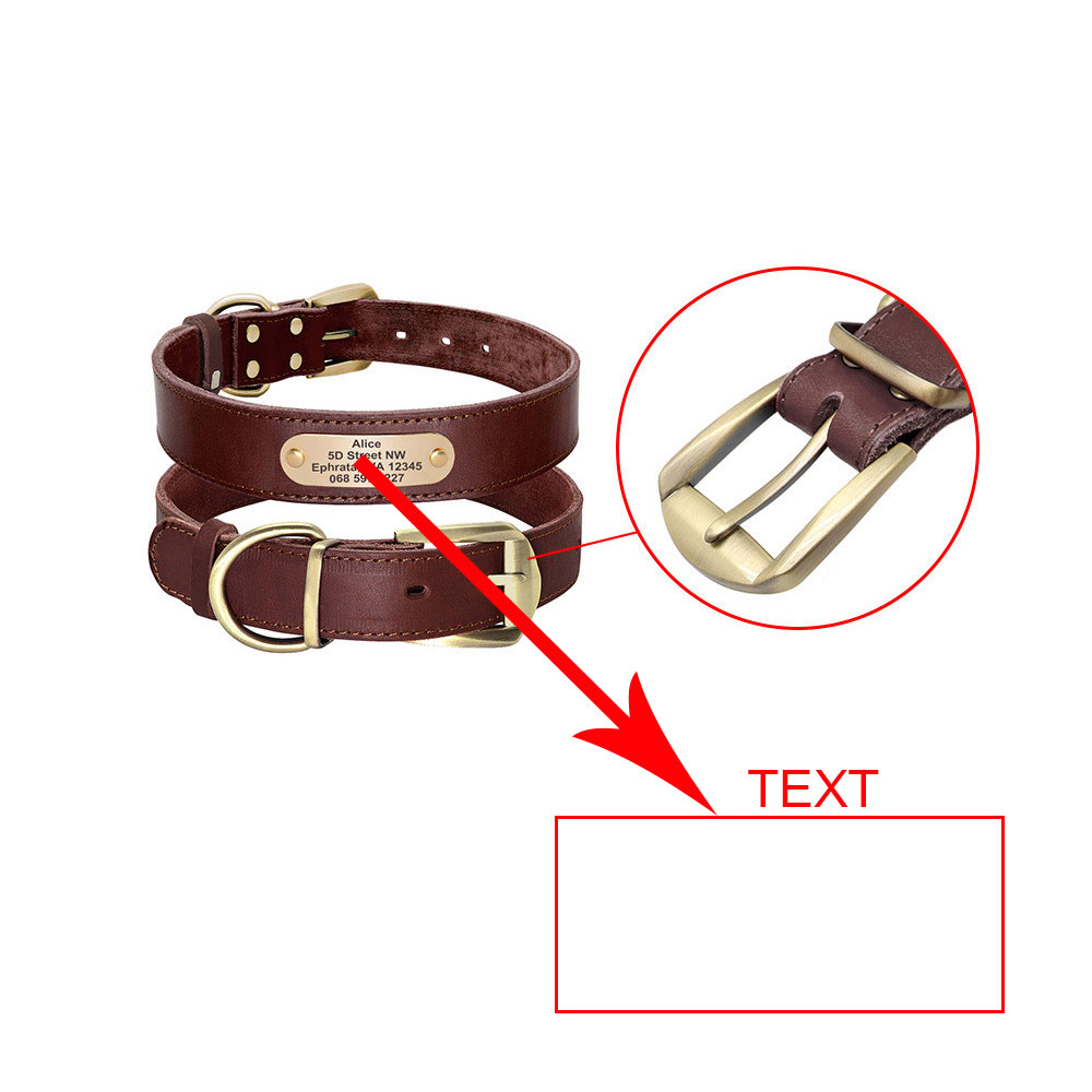 Collar de Cuero  con Placa de Identificación para mascota Dorada Personalizable