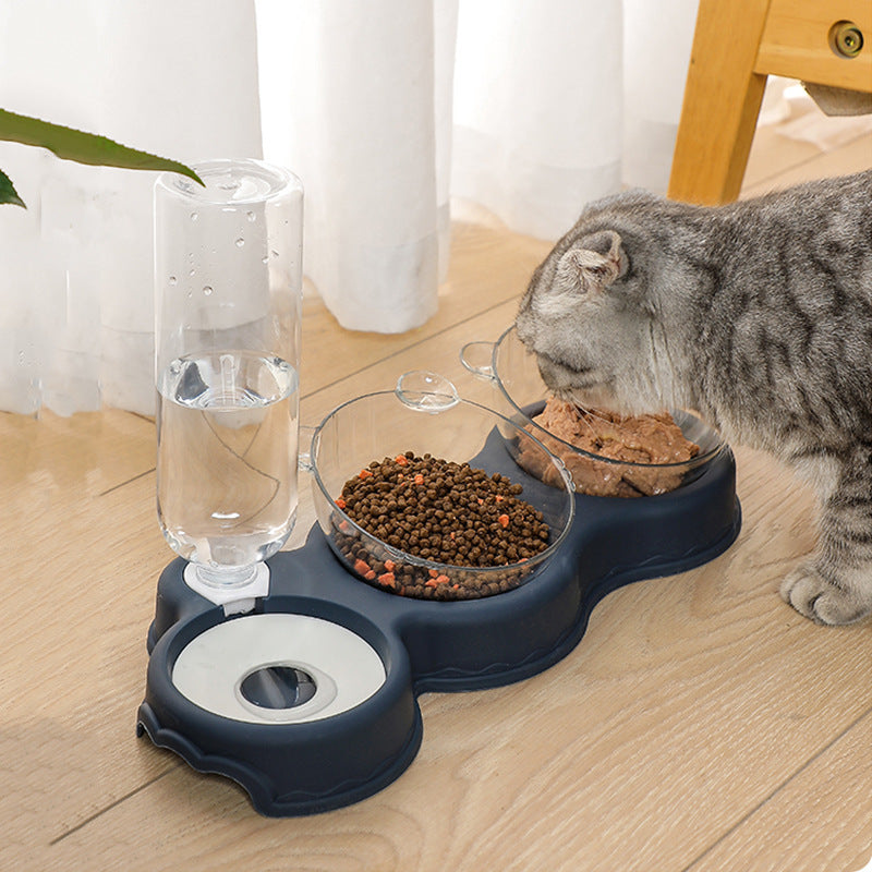Cuenco multiusos para gatos – Comedero de colores para mascotas