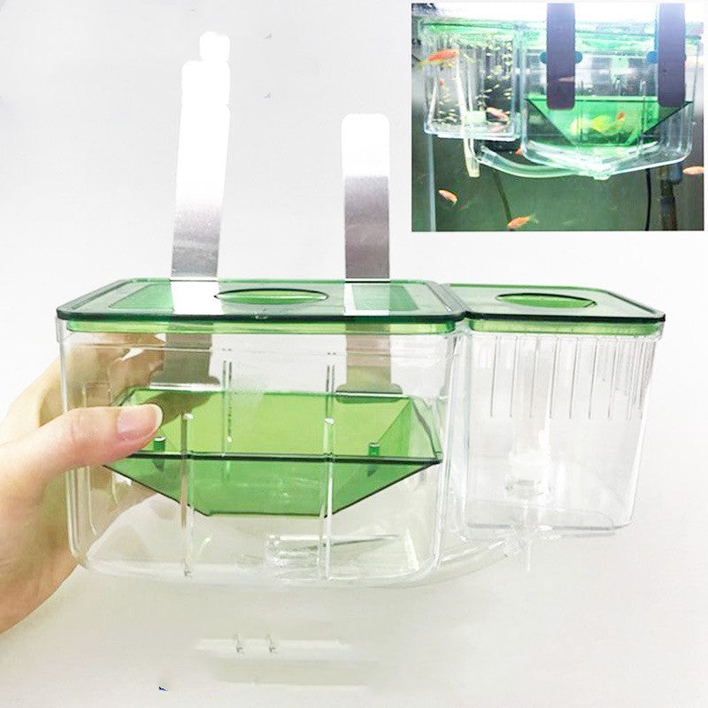 Caja de cría y aislamiento para peces guppy y betta – Incubadora flotante transparente