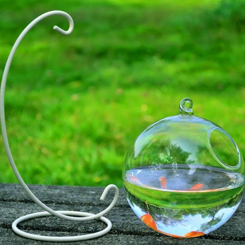 Pecera de cristal colgante – Bola de vidrio decorativa elegante