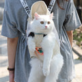 Mochila portátil para gatos – Ligera, transpirable y ergonómica para paseos y viajes