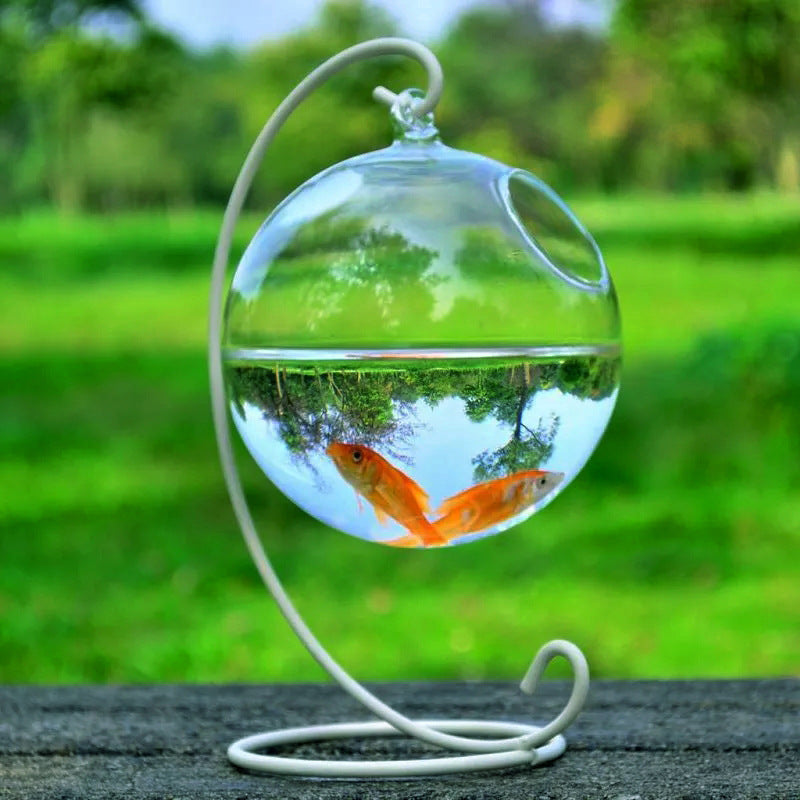 Pecera de cristal colgante – Bola de vidrio decorativa elegante