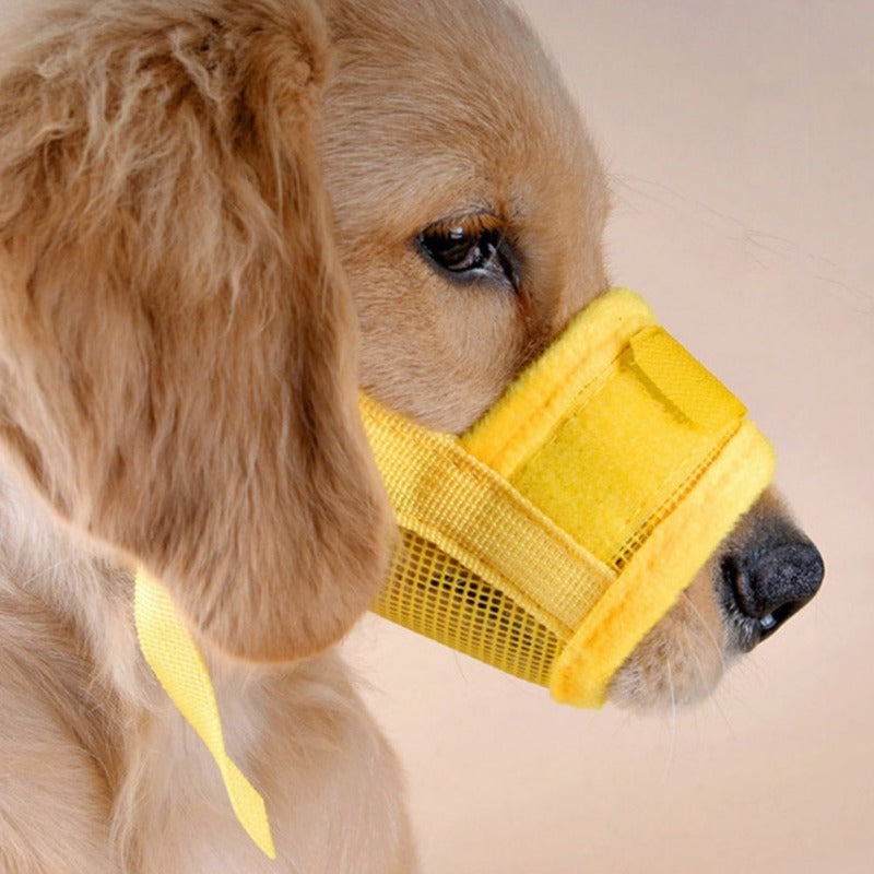 Museruola ajustable y transpirable para perros – Diseño seguro, cómodo y resistente