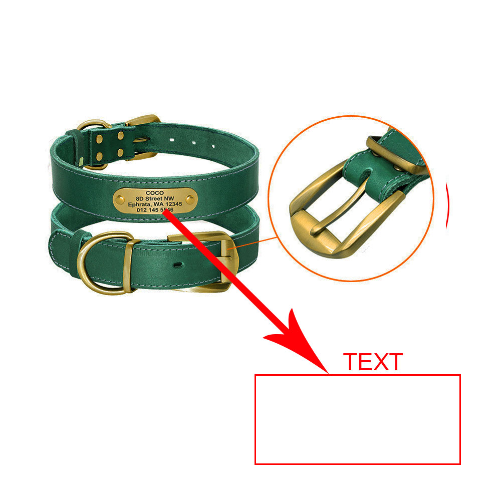 Collar de Cuero  con Placa de Identificación para mascota Dorada Personalizable