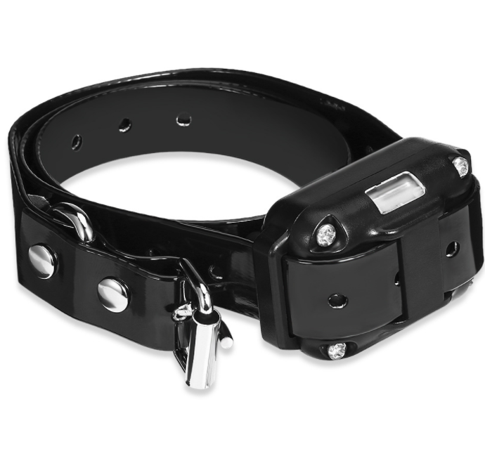 Collar de adiestramiento para perros con control remoto, modos de sonido, vibración y estímulo estático, impermeable IP67 y alcance de 800 metros.