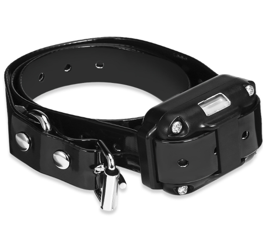 Collar de adiestramiento para perros con control remoto, modos de sonido, vibración y estímulo estático, impermeable IP67 y alcance de 800 metros.
