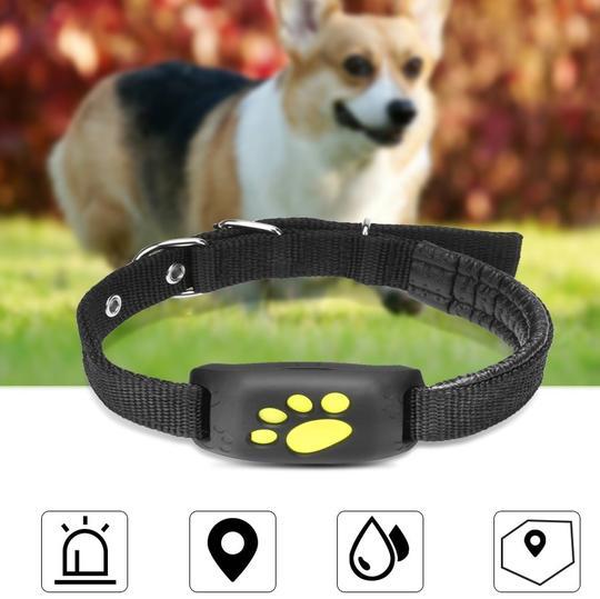 Localizador GPS para perros y gatos modelo Z8-A, resistente al agua, con precisión de 5–15 metros y geocerca para seguimiento en tiempo real.