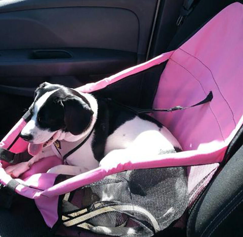 Asiento transportador impermeable para perros y gatos – Seguridad y comodidad para viajes largos