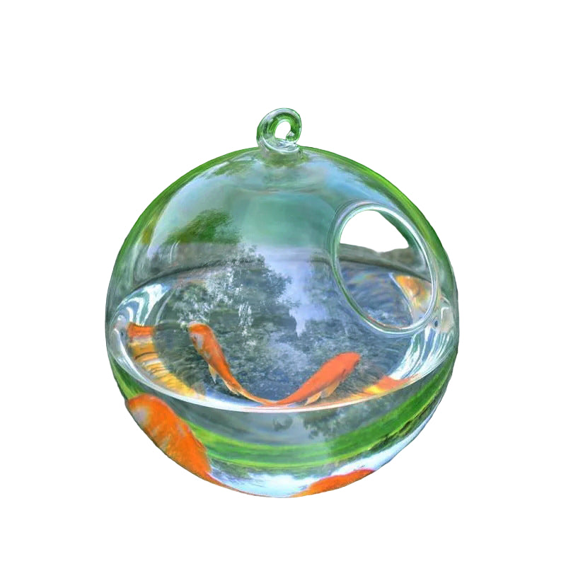 Pecera de cristal colgante – Bola de vidrio decorativa elegante