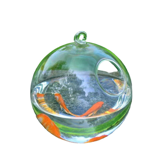 Pecera de cristal colgante – Bola de vidrio decorativa elegante